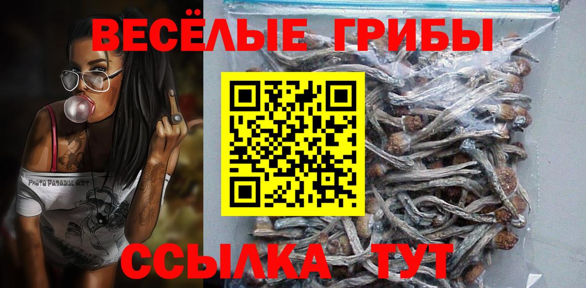 COCAIN Полевской