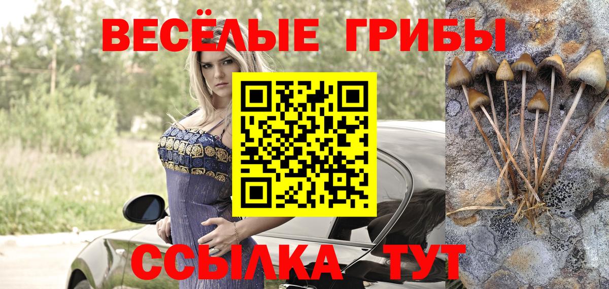 Псилоцибиновые грибы ЛСД  Вход с VPN  Полевской 